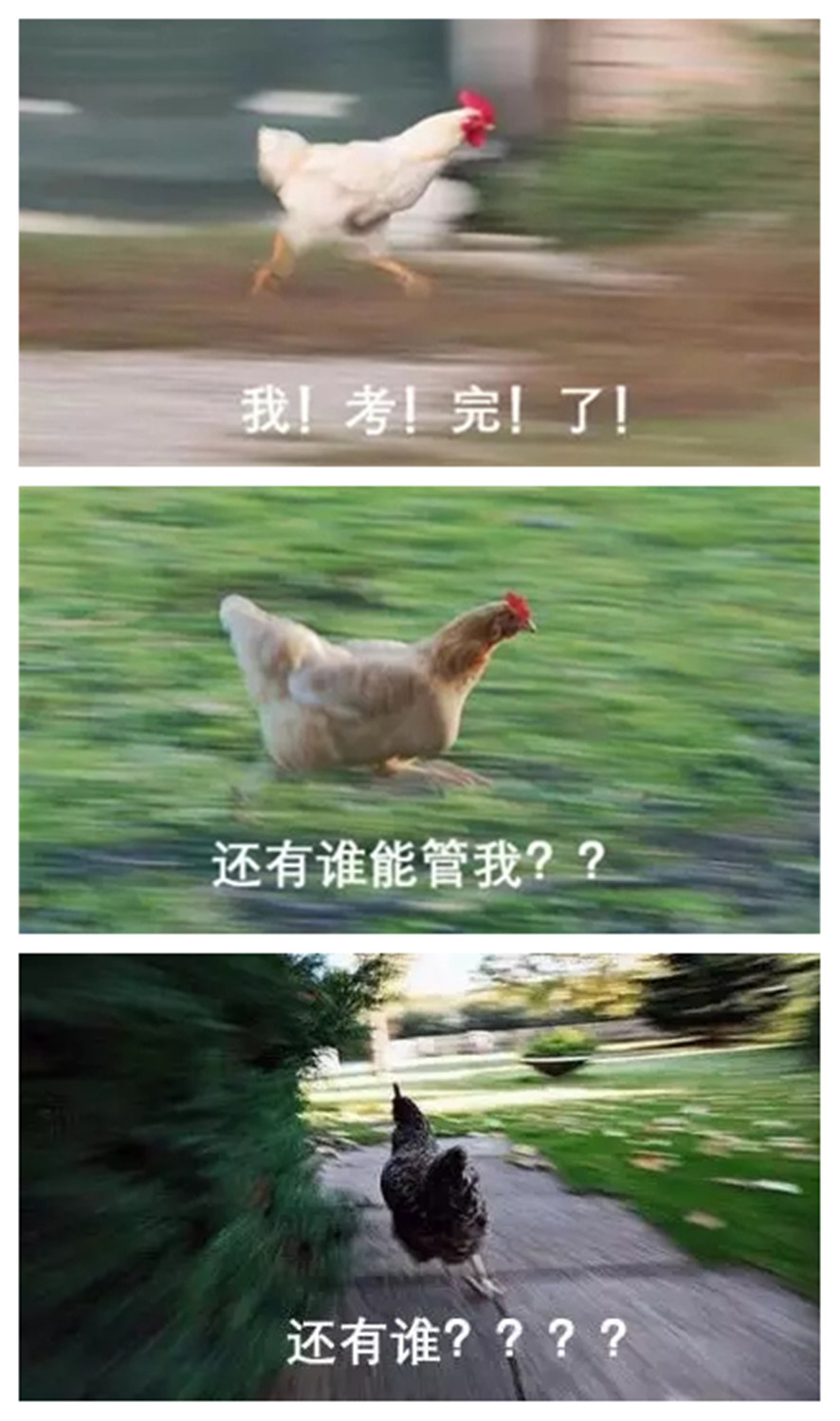 電競雞，快跑雞