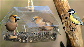 非金屬板激光切割機，建筑鳥巢，建筑鳥兒溫馨之家