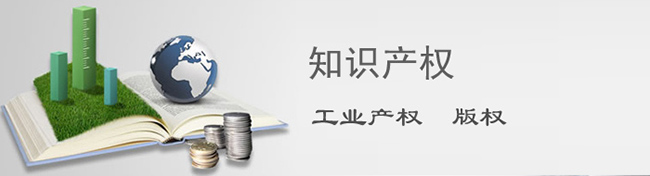 知識產權保護