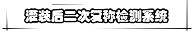 灌裝后二次復稱檢測系統(tǒng)