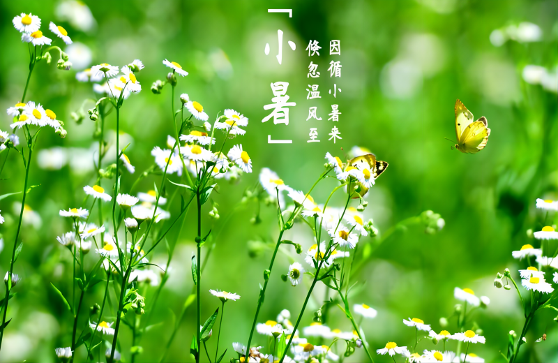 圖片 1.png